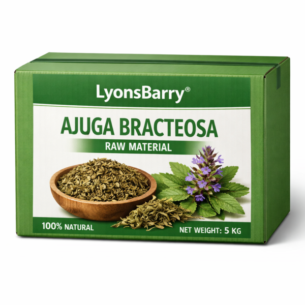 Ajuga bracteosa (OEM/ODM)