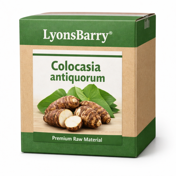 Colocasia antiquorum (OEM/ODM)