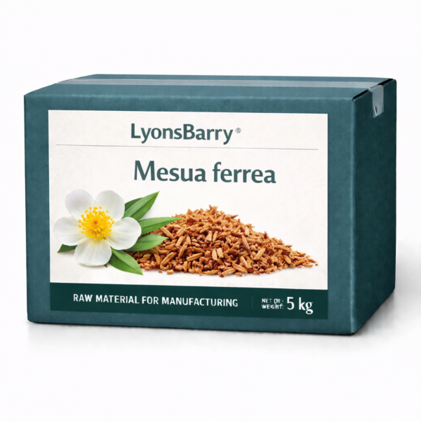 Mesua ferrea (OEM/ODM)