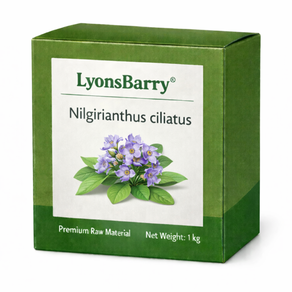 Nilgirianthus ciliatus (OEM/ODM)