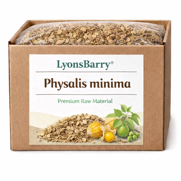 Physalis minima (OEM/ODM)