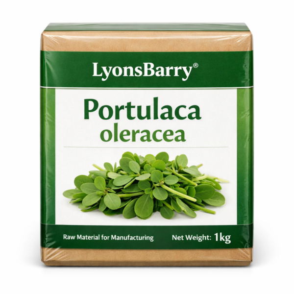 Portulaca oleracea (OEM/ODM)