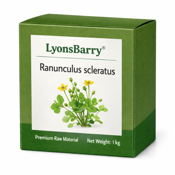 Ranunculus scleratus (OEM/ODM)
