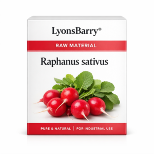 Raphanus sativus