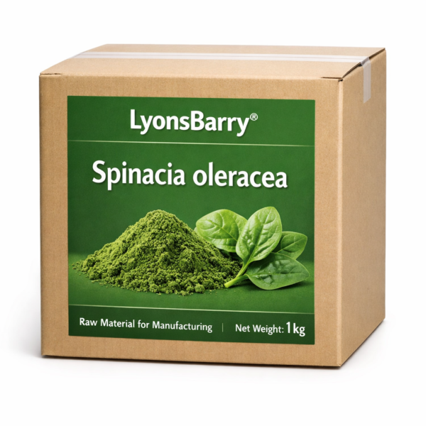 Spinacia oleracea (OEM/ODM)